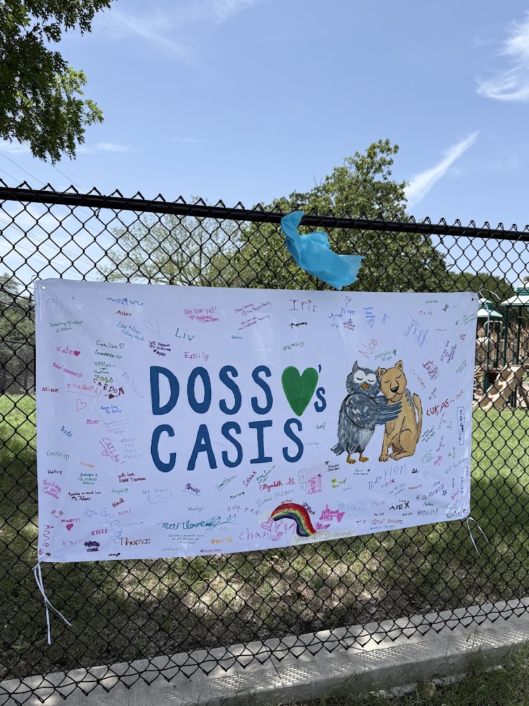 Casis Banner